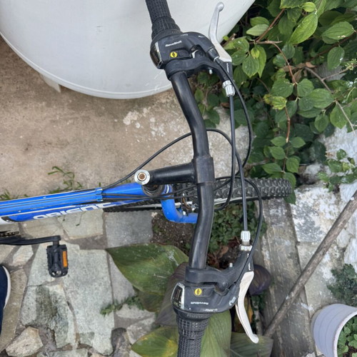 Orienc Bikes bicycle, men's, with gears