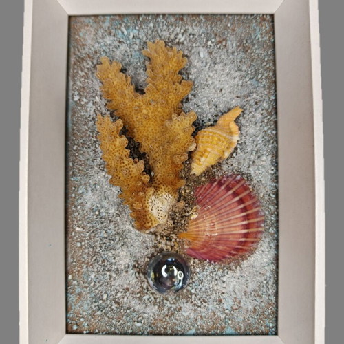3D Mixed Media Artwork by I. Cabri with Real Coral and Seashells