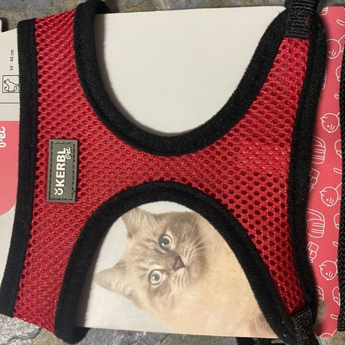 Cat collar with harness leash new