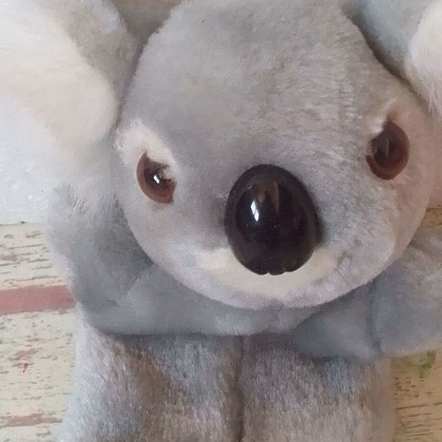 Plush school pencil case Koala like new