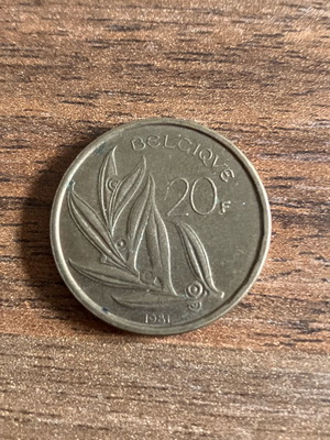 Belgium 20 Francs coin used