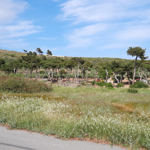 Land 500 m² buildable in Daou Penteli
