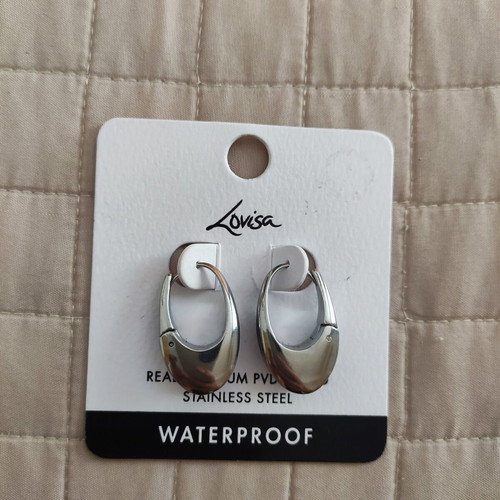 Silver earrings