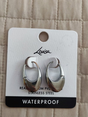 Silver earrings