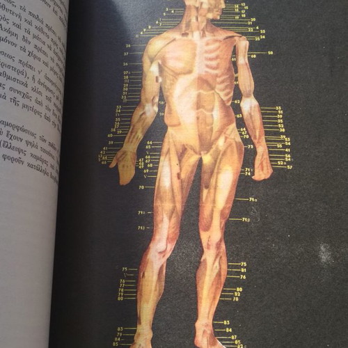 Anthropology book used, high school decade 1950