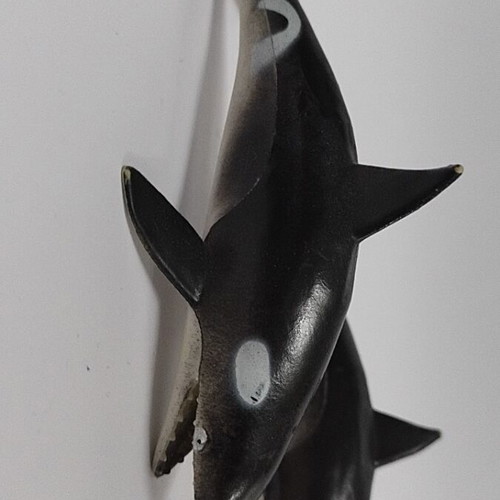 Whale like new