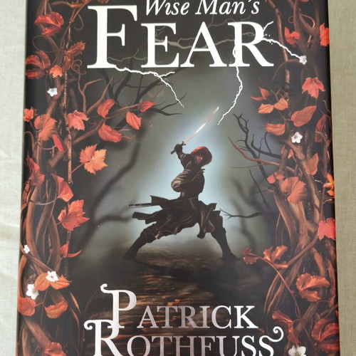 The Wise Man's Fear by Patrick Rothfuss hardcover book like new, English