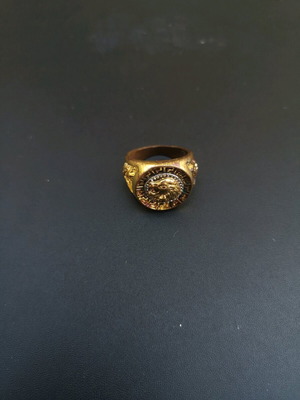 Ανδρικό δαχτυλίδι επιχρυσωμένο με σχέδιο κεφάλι λιονταριού