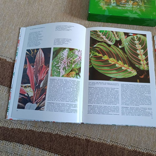 Vintage gardening guide of 1985, two volumes in a paper case