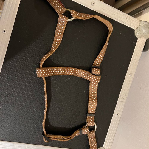 Dog leash used for medium size up to 30 kg, attaches from front legs