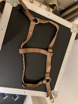 Dog leash used for medium size up to 30 kg, attaches from front legs