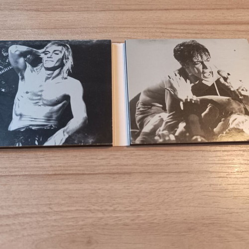 We Will Fall The Iggy Pop Tribute 2CD Digipak