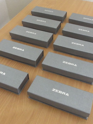 Zebra grey pen cases for SL-F1 Mini or Expandz, pack of 10