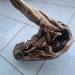 Large Amazon aquarium root used