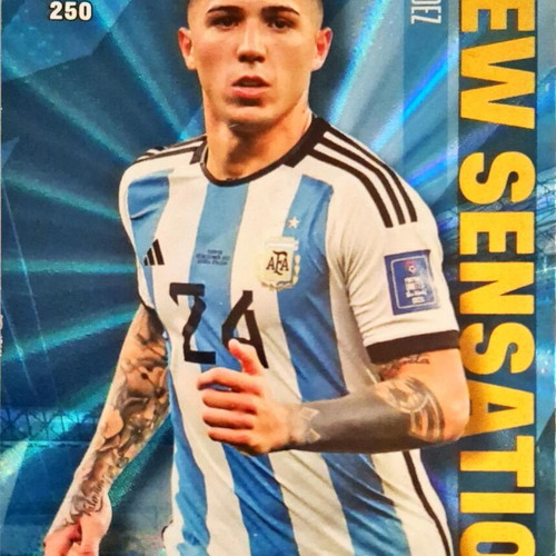 Top Class Panini Cards like new, Argentinian with Martínez, Otamendi, Fernández, Dybala