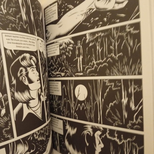 Black Hole graphic novel by Charles Burns like new, Zoobus edition
