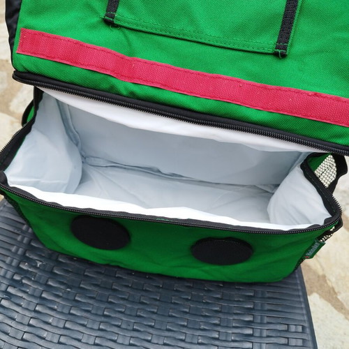 Athens 2004 collectible portable cooler bag