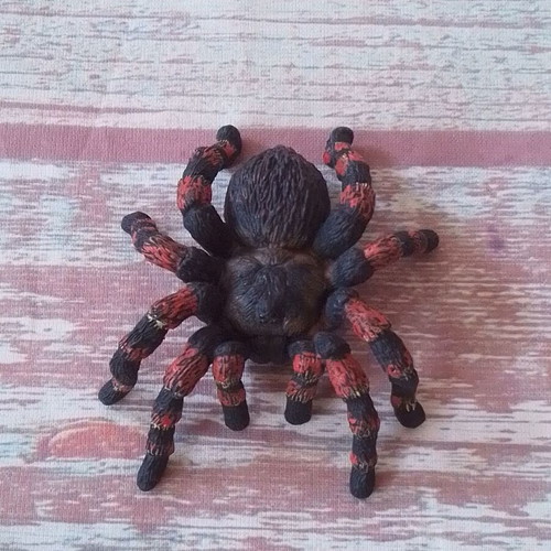 Spider tarantula animal figure used