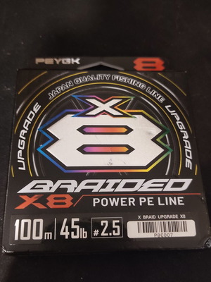 PEYGK X8 πλεκτό νήμα ψαρέματος 100 μ. 45 lb PE 2,5
