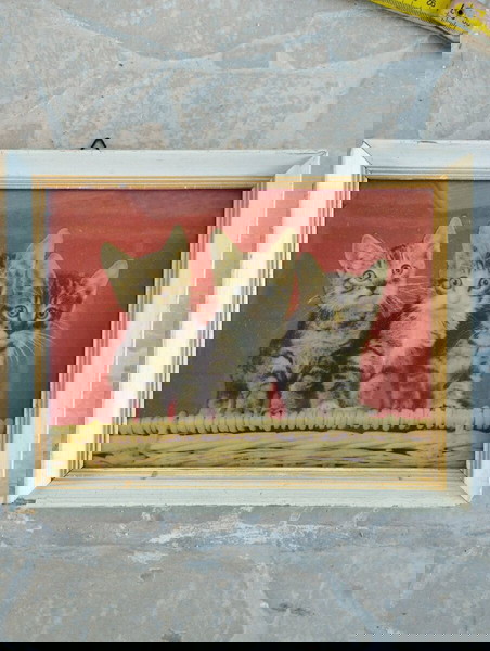 Κορνίζα με γάτες