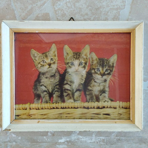 Picture frame with cats used 19×24