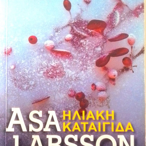 Solar Storm Asa Larsson pocket book like new