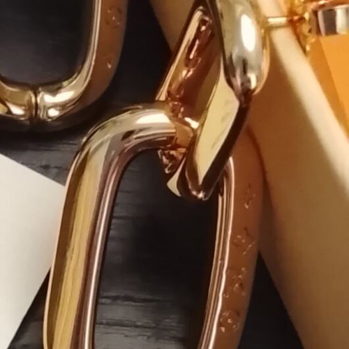 Louis Vuitton Smooth Epi Earrings gold tone, new