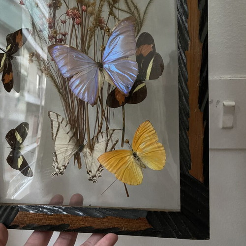Vintage wooden frame with butterflies and dried flowers, antique wall art