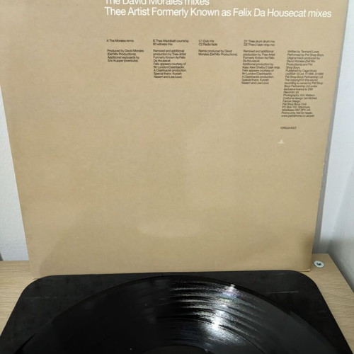 Pet Shop Boys I Don't Know What You Want But I Can't Give It Any More vinyl