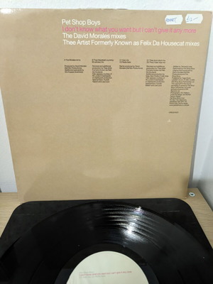 Pet Shop Boys I Don't Know What You Want But I Can't Give It Any More vinyl