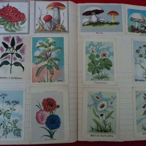 Botana tis Ellados album 1969 used with 60 cards and 3 chromolithographs