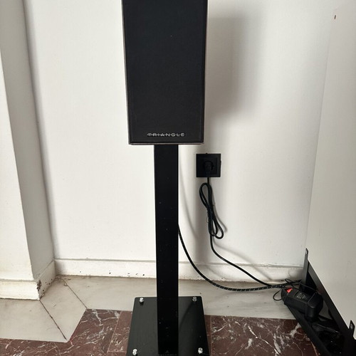 Triangle Esprit Titus ez bookshelf speakers with Triangle S02 stands, chestnut
