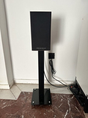 Triangle Esprit Titus ez bookshelf speakers with Triangle S02 stands, chestnut