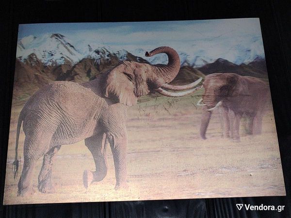 ikona 3D - elefantes sti savvana