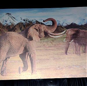Εικονα 3D - Ελεφαντες στη Σαββανα