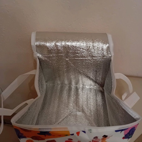 Isothermal Bag like new