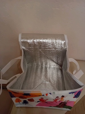 Isothermal Bag like new