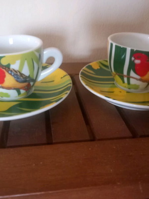 Set of two used Greek coffee cups with parrot design Life style