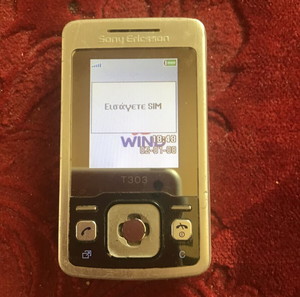 SONY ERICSSON T 303