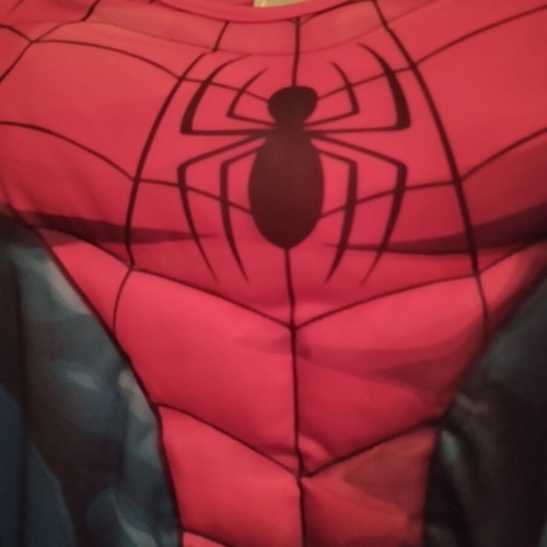 Spiderman muscle costume with mask, H&M