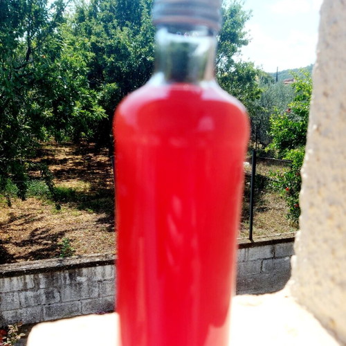 Handmade Sword Oil with Seed Oil 330ml