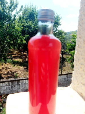 Handmade Sword Oil with Seed Oil 330ml
