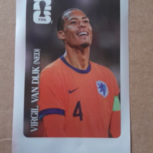 Virgil Van Dijk Panini FIFA World Cup sticker new