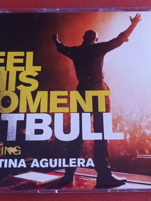Pitbull - Feel This Moment - 2-track CD Single feat. Christina Aguilera