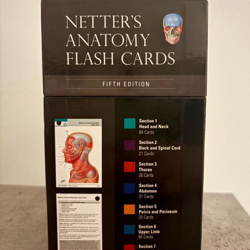 Netter's Anatomy Flash Cards 5th Edition like new