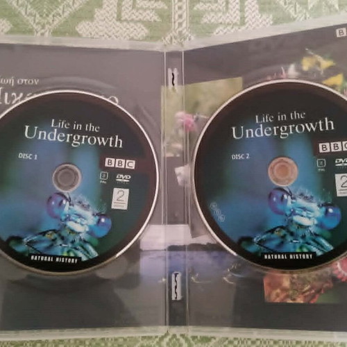 Life in the Undergrowth BBC DVD like new