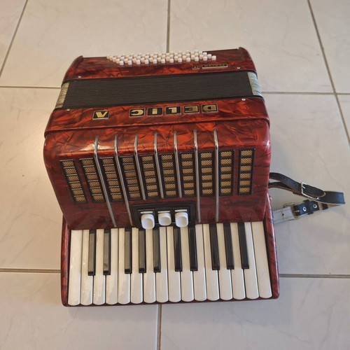 Delicia Junior IV Accordion like new, 60 bass, red pearloid