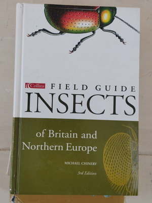 Insects book like new, English