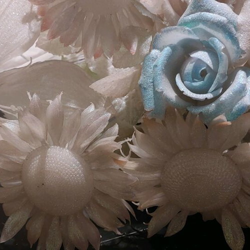 Plastic flowers like new, pack of 22, white and blue