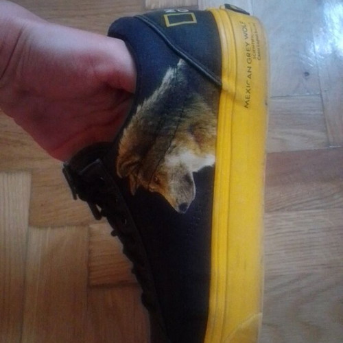 Vans National Geographic sneakers size 8.5 like new